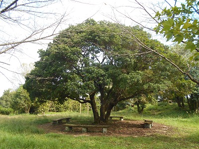 f0308898_20102075.jpg