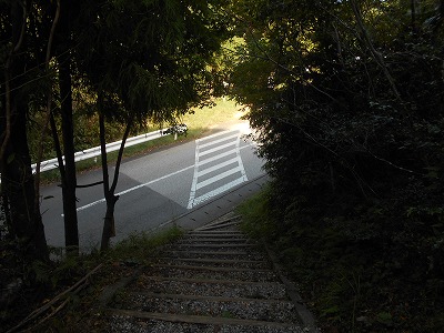 f0308898_2012026.jpg