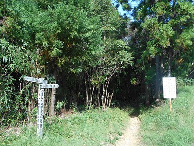 f0308898_2012868.jpg