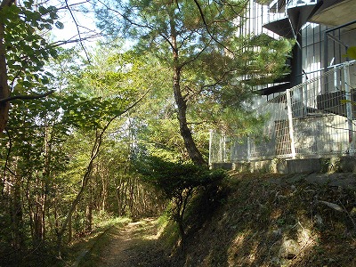 f0308898_20133.jpg