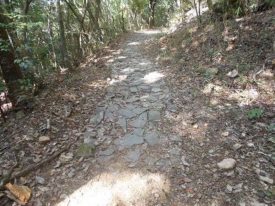 f0308898_2014152.jpg