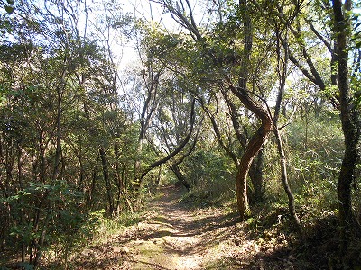 f0308898_202157.jpg