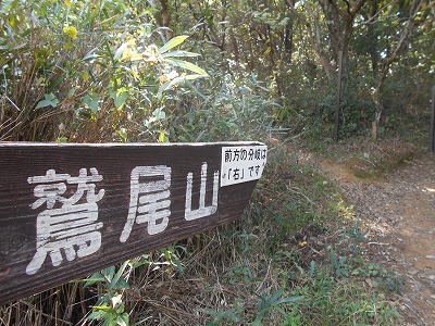 f0308898_2024973.jpg