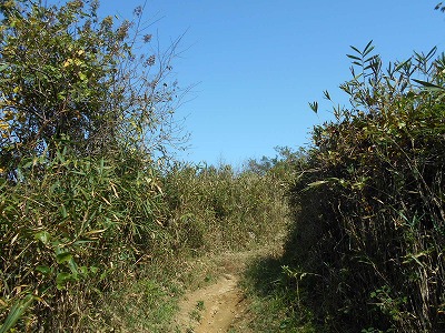 f0308898_202573.jpg