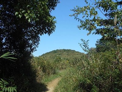 f0308898_204970.jpg