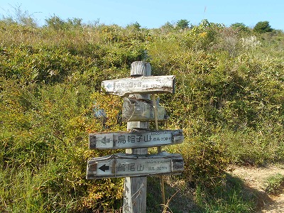 f0308898_2052568.jpg