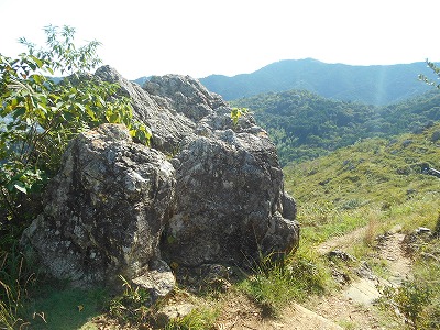 f0308898_205346.jpg