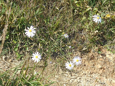 f0308898_2061069.jpg