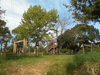 f0308898_2082070.jpg