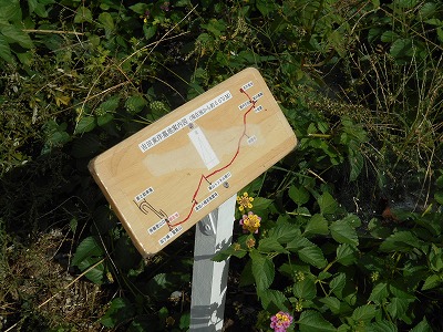 f0308898_208281.jpg