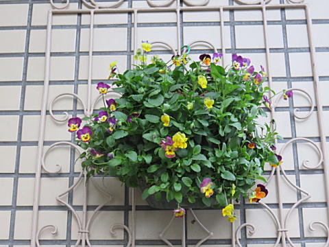 d0046702_1851526.jpg