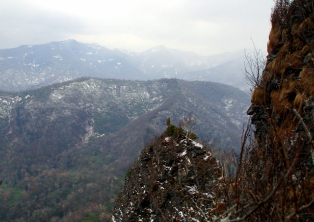 2016年10 月30日(日)　黄金山（標高739ｍ）_a0345007_19443983.jpg