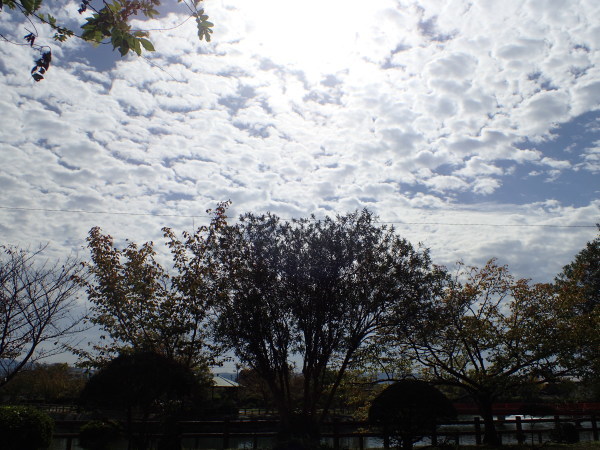 c0367107_16531507.jpg