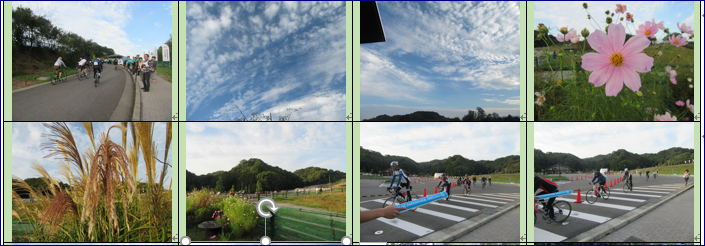 f0231709_17155927.png