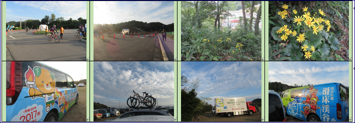 f0231709_17172737.png