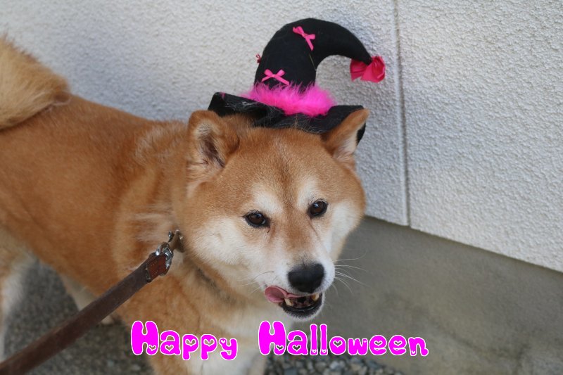 HAPPY☆HALLOWEEN!!_b0073110_1221586.jpg