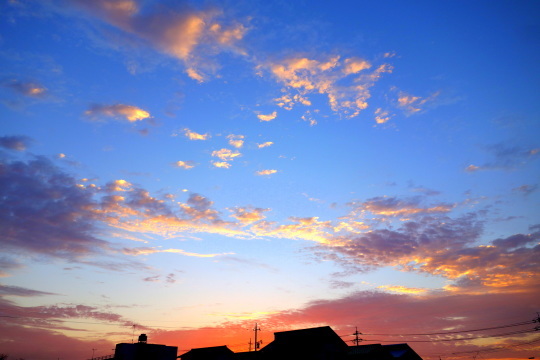 a0158613_14163595.jpg