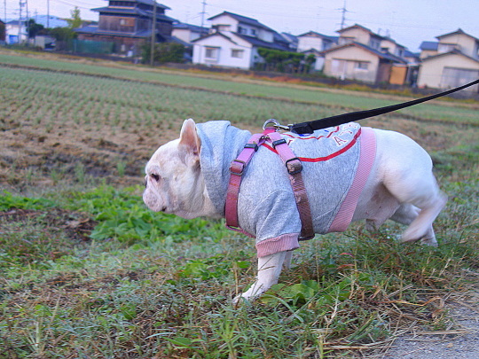 a0158613_14175599.jpg