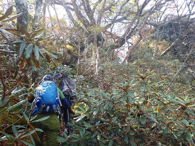 国見山～小国見山～五勇山～烏帽子岳周回_f0193521_17515586.jpg