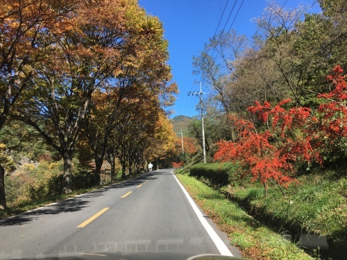 b0132630_11223675.jpg