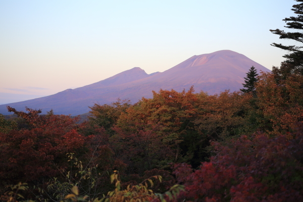 f0229832_11511035.jpg
