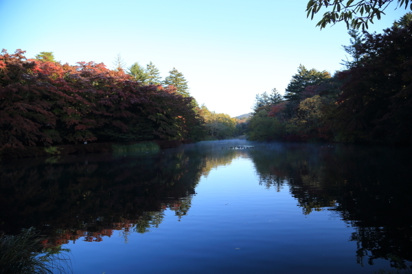 f0229832_11545212.jpg