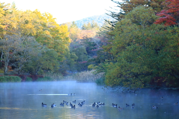 f0229832_11574520.jpg