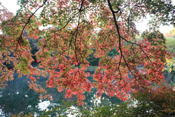 f0229832_11582365.jpg