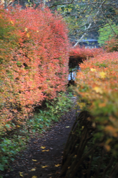 f0229832_11583582.jpg