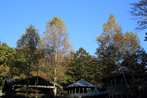 f0229832_11590118.jpg