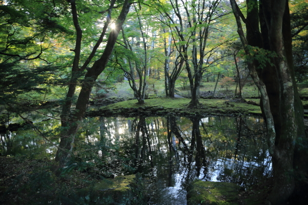 f0229832_12000482.jpg