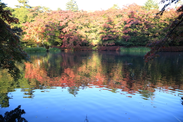f0229832_12003104.jpg