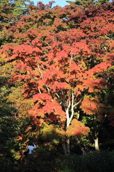 f0229832_12004323.jpg