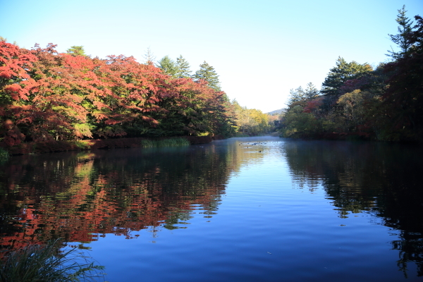 f0229832_12010153.jpg