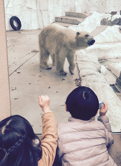 zoo park_b0172633_1040354.jpg
