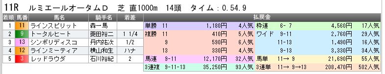 3910　▼ＲＦＣ競馬２０１６　- 149 -　　2016.10.30_c0030536_19171916.jpg