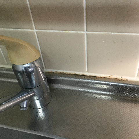 賃貸物件・・合計5部屋・・・あるよあるよ・・確認することが・・(^-^;_f0031037_20512499.jpg