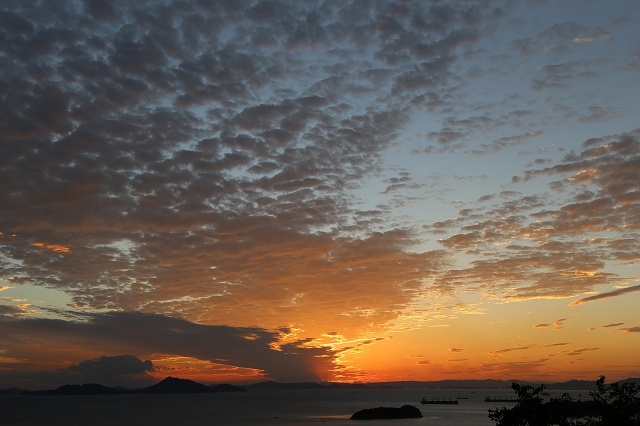 a0242438_20460264.jpg
