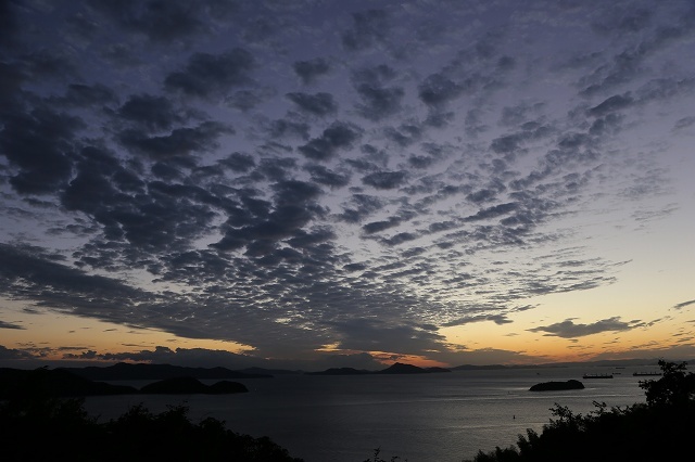 a0242438_20473788.jpg