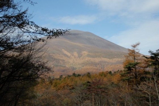 b0132338_15125314.jpeg