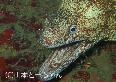 b0163039_14374811.jpg