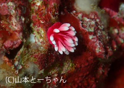 b0163039_14381069.jpg