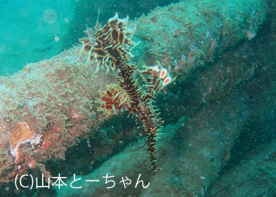 b0163039_14383352.jpg