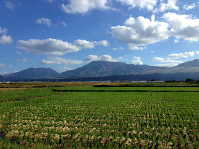 a0135840_10575634.jpg