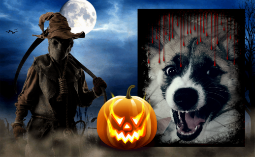 HALLOWEEN_a0353444_18455570.png