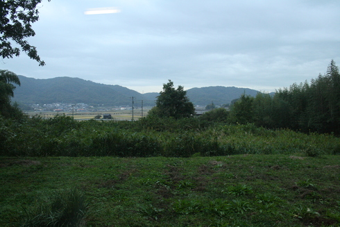 d0145345_847940.jpg