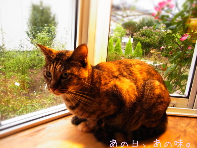 a0305046_09152174.jpg