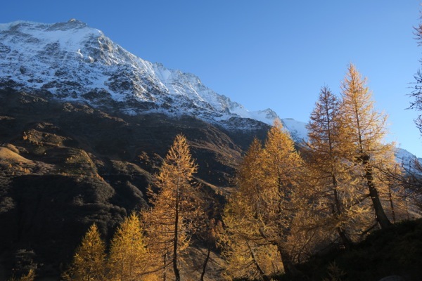 e0356046_17174817.jpg
