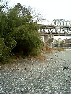 a0192147_28436.jpg