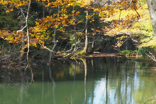 2016/10/30 番屋山_b0189948_22323323.jpg